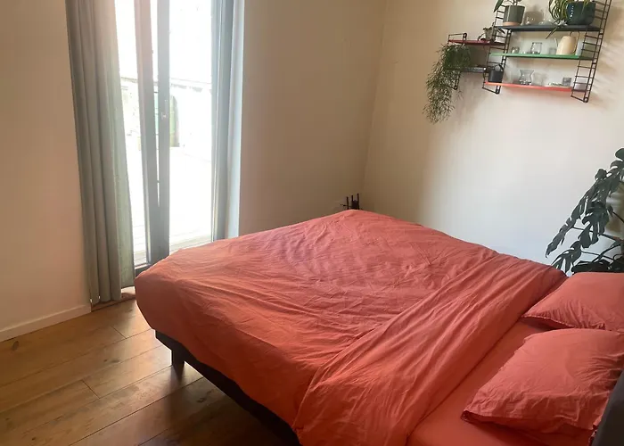 Spacious House With Big Garden Close To The City